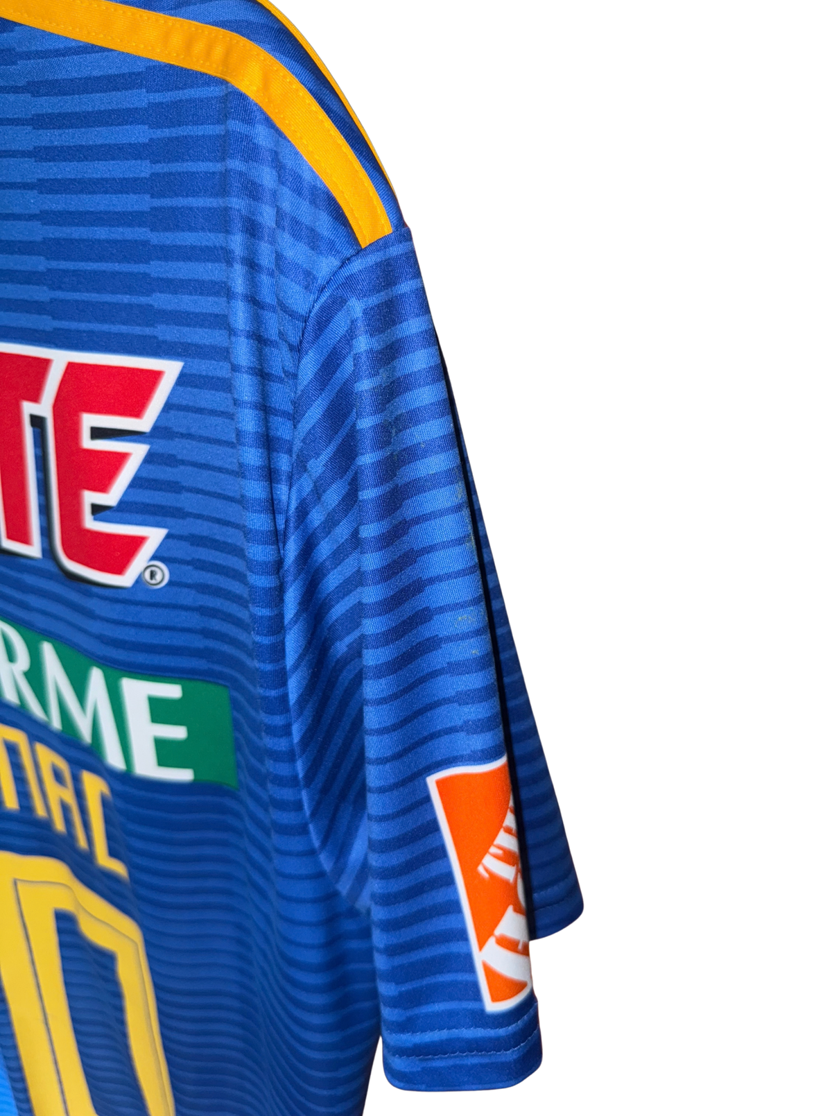 Tigres 2018-2019 Visita Gignac 10 - L