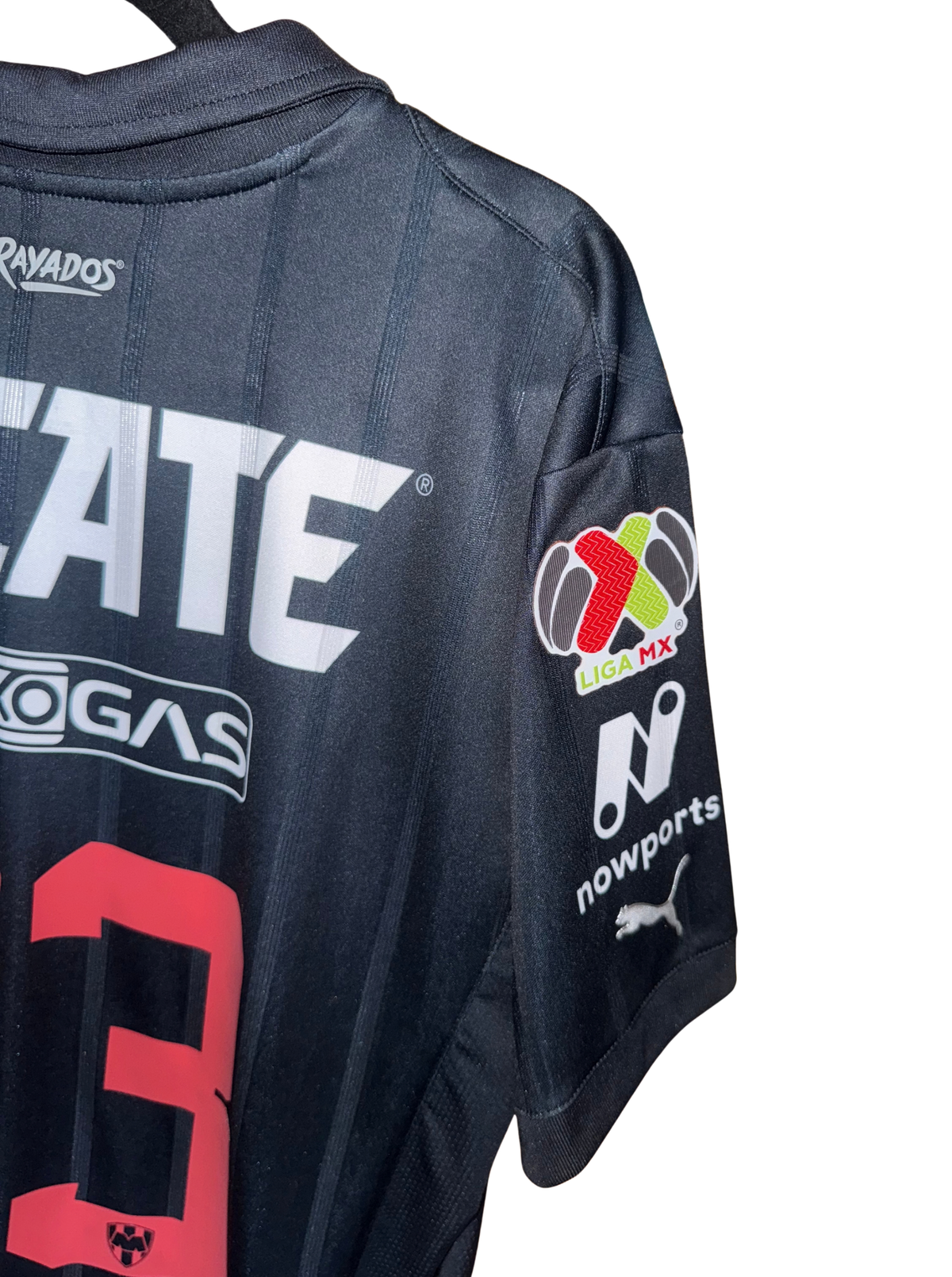 Rayados de Monterrey 2024-2025 Tercera Versión Jugador Sergio Ramos 93 - L