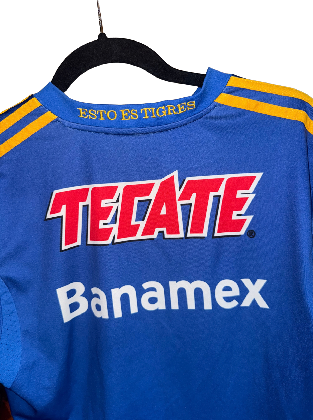 Tigres 2013-2014 Visita - M